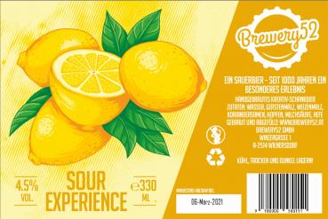 Sour Experience, 330ml